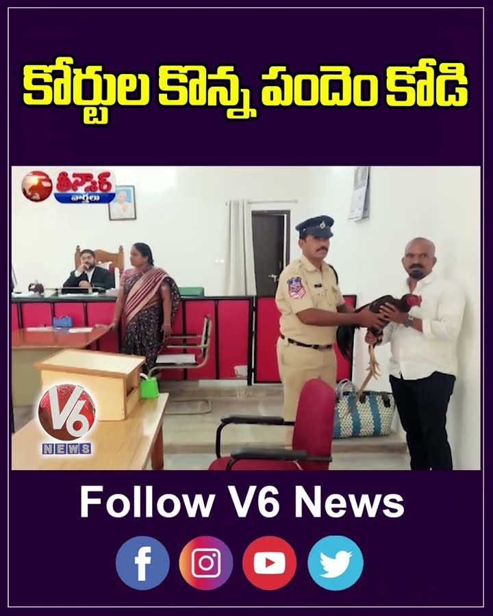 Man Buy Hen In Upparpalli Court Auction | V6 Teenmaar