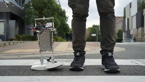 PedestriANS: a bipedal robot with adaptive morphology