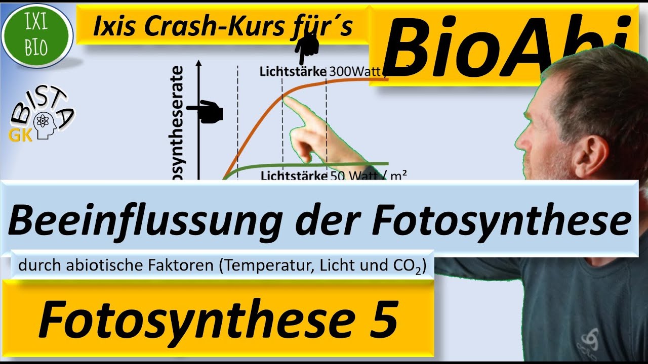 Fotosynthese: Einfluss von Temperatur, Lichintensität, Lichtqualität und CO2