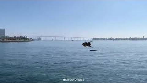 DOG FIGHTER  | Made in Lightwave 3d | CGI 3D Animation