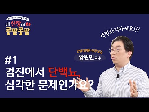 소변만 만드는 콩팥? 우리 몸의 건강 지킴이! | 내 신장이 콩팥콩팥 1편