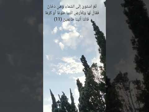 ث م استوى إ لى السماءوهي د خ ان فقال ل ه ا و ل ل أ ر ض ائ ت يا طوعا أ و كرها قالتا أ تينا طائعين
