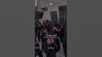 قالو من فعل هذا بالهتنا #ياسر_الدوسري #سورة_الانبياء