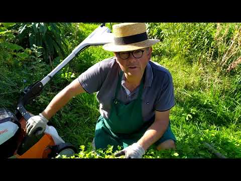 Vidéo: Pommes de terre : cultiver et entretenir un chalet d'été
