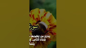 #اكسبلور #تيك_توك #ترند #لايك #دويتو #سعود_الشريم #edit #explore #duet #قرآن #تلاوة_خاشعة #خطبه