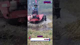 බෝට්ටු ට්රැක්ටරය | Sri lanka | Boot tractor / Boat tractor for paddy field shorts