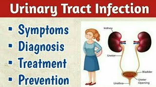 Urinary Tract Infection (UTI) Causes, Symptoms, Diagnosis & Treatment | Urine Infection