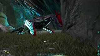 ARK: Developer Fail Evolved - Undermesh-Exploit still not fixed in 294.115