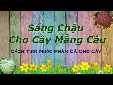 Video: Hoa hậu đầu tiên của đất nước sẽ quyên góp tiền cho các em bé bị bệnh