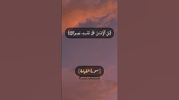 سورة القيامة الآية ١١ الى ١٩ بصوت الشيخ محمد صديق المنشاوي