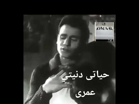 حياتي دنيتي عمرى بأمر الحب مش امرى 