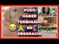 Accidente pudo haber terminado en desgracia 🙏Mickey ha sido papá muy joven😊y MÁS..