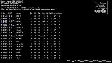 MIDI SC-88VL Original Rizm.Me For SC88VL By Moonlight /RIZMME88.RCP