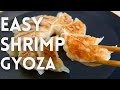[ASMR] EASY SHRIMP GYOZA | RECIPE | DUMPRINGS | Takoshiho Cooks Japan