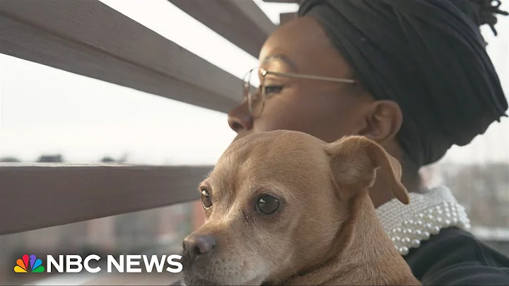 'PALS' program helps domestic violence survivors stay with pets