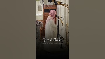 تلاوة هادئة القارئ وليد الشمسان سورة الشعراء