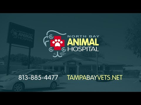 Welcome to North Bay Animal Hospital