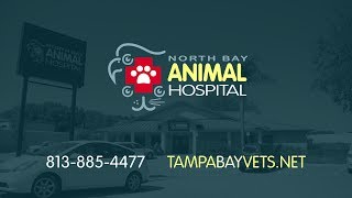 Welcome to North Bay Animal Hospital