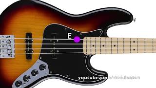 Bass 4 String Tuner - E Standard Tuning (E A D G)