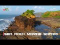 The sea rock marine safari diveagar mahaparyatan