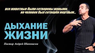 видео: Все животные были сотворены живыми, но человек был сотворён мертвым.Дыхание жизни.Пастор А.Шаповалов картинка: Все животные были сотворены живыми, но человек был сотворён мертвым.Дыхание жизни.Пастор А.Шаповалов