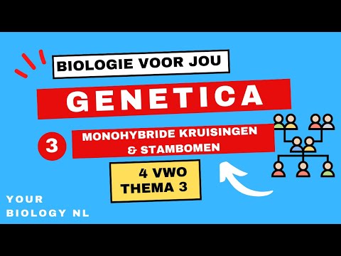 4 vwo | Genetica | 3 | Monohybride kruisingen & stambomen