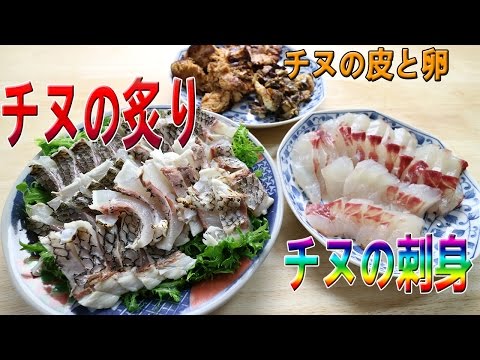 チヌ クロダイ の料理をしてみました 炙り 刺身などなど Youtube