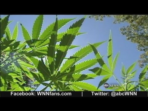 Clinical Marijuana Arrives on Capitol Hill thumbnail