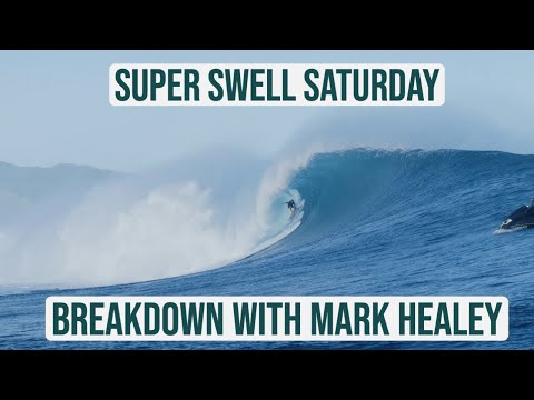 Video: Zašto Profesionalni Surfer Mark Healey Puca Pivo U Pet Sati