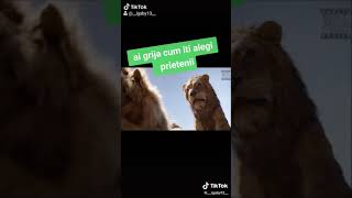 Sa Nu Ai Incredere In Prieteni Tai Cand Esti In Grapa