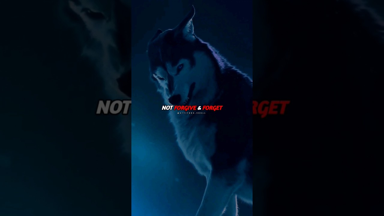 Wolf attitude Status 