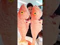 Day in the Life: Fresh Fish on a Yacht #belowdeck #yacht #chef #crew #yachtie #food #cooking