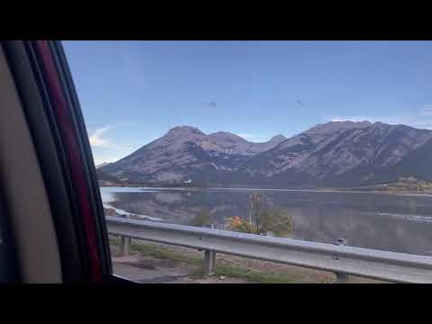 Daily life vlogs which includes some tutorials, information, travels, spirituality and fun.