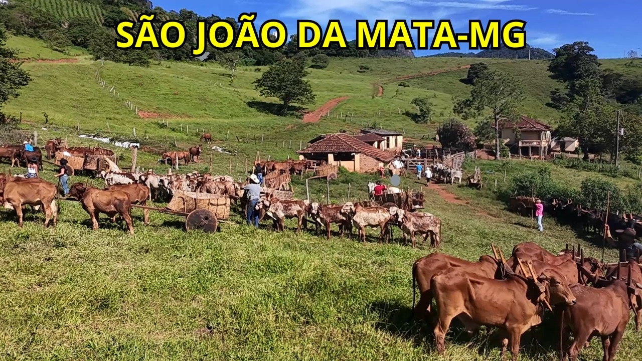 SE PREPARANDO PARA O DESFILE DE SÃO JOÃO DA MATA-MG