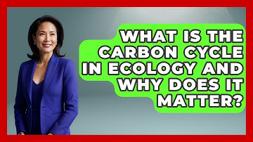 What Is The Carbon Cycle In Ecology And Why Does It Matter? - Explaining Ecology