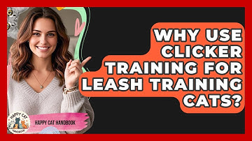 Why Use Clicker Training For Leash Training Cats? - Happy Cat Handbook
