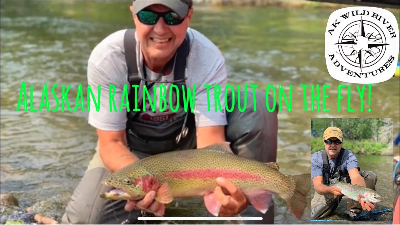 Fly fishing Alaska’s Willow Creek for native rainbows and grayling 612