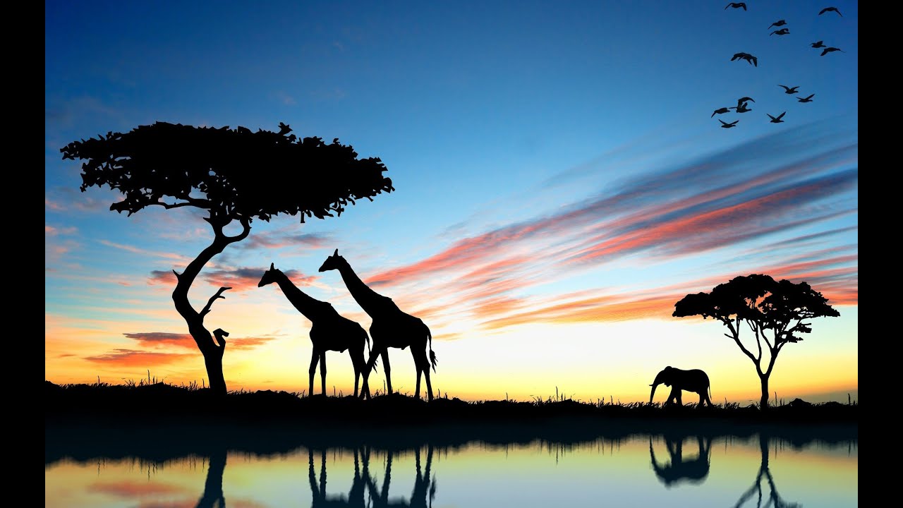 camera iphone 8 plus apk tribute to africa