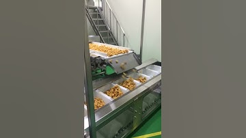 151228 Metal Detector with Elevating Attachment Conveyor for Snack in Crown Confectionery #1