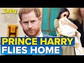 Prince Harry departs UK following Prince Philip’s funeral | Today Show Australia
