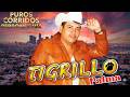 El Tigrillo Palma De Oro 💥 20 Exitos Puros Corridos Mix Para Pistear 2026