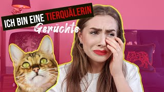 bin ich eine Tierquälerin? // Realtalk // Einzelhaltung bei Katzen? - Amely Rose & Catwalk