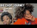 MY BIG CHOP JOURNEY **1 year later**