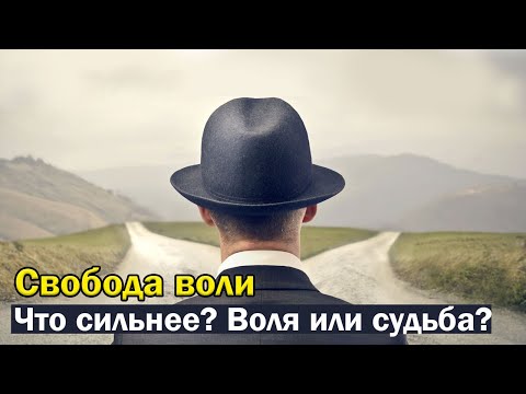 Свобода воли и