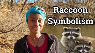 Raccoon Spirit Animal Totem | Let your Guards Down by Blooming Wombman LLC, 2,846 views 1 year ago 10 minutes, 44 seconds