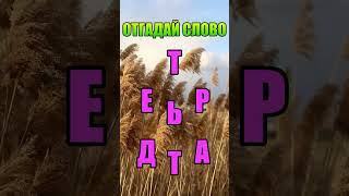 Отгадай слово #237