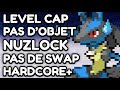 Je suis le 1er franais a avoir fini ce jeu pokemon hardcore nuzlock