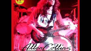 Allen Collins Band - Everything You Need chords