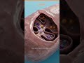 "Cell" Structure and function..how single cell can lead to cause cancer#cellstructure