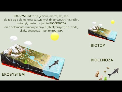 Wideo: Czym jest ekosystem i jego usługi?